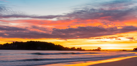 Doctor jobs Tauranga 