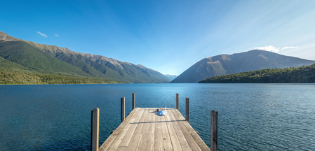 Nelson medical career 