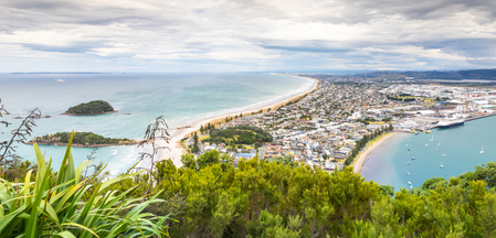 Doctor jobs Tauranga 