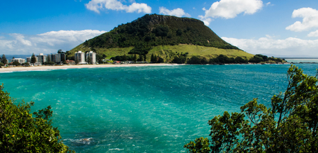 Medical career Mount Maunganui 