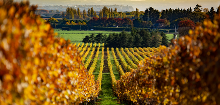 Doctor work-life balance