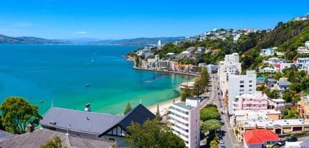 Doctors in Wellington