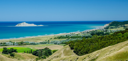 Hawkes Bay Doctor Jobs