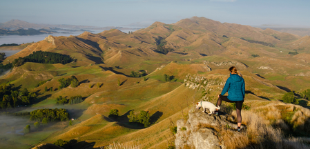 Doctor jobs Hawkes Bay