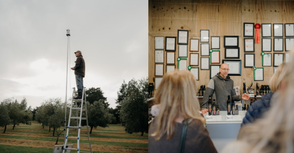 Medrecruit locum consultant