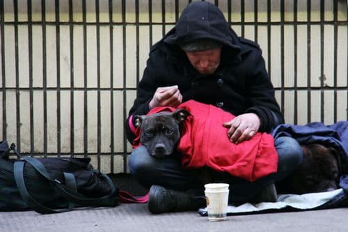 CEO Sleepout - Homeless man